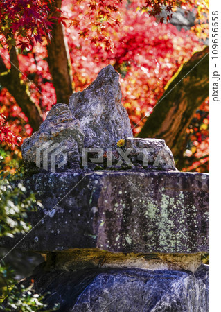 京都市山科 勧修寺(かじゅうじ)さざれ石 京都市山科 勧修寺(かじゅうじ)さざれ石 109656658
