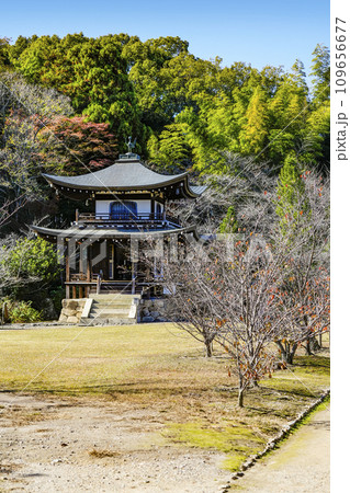 京都市山科　勧修寺（かじゅうじ）観音堂 109656677
