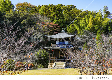 京都市山科　勧修寺（かじゅうじ）観音堂 109656679