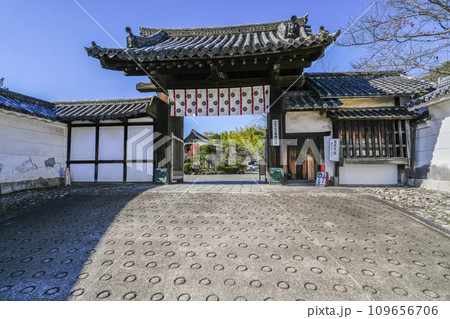 京都市山科　勧修寺（かじゅうじ）勅使門 109656706