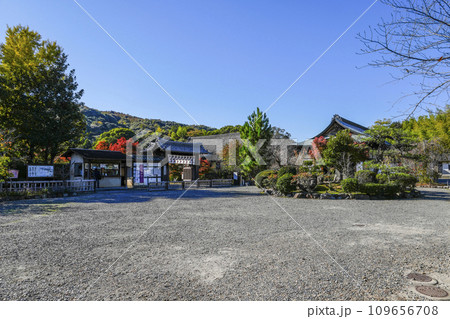 京都市山科　勧修寺（かじゅうじ） 109656708