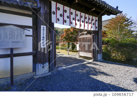京都市山科　勧修寺（かじゅうじ）勅使門 109656717