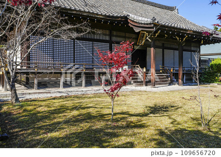京都市山科　勧修寺（かじゅうじ）明正殿（宸殿） 109656720
