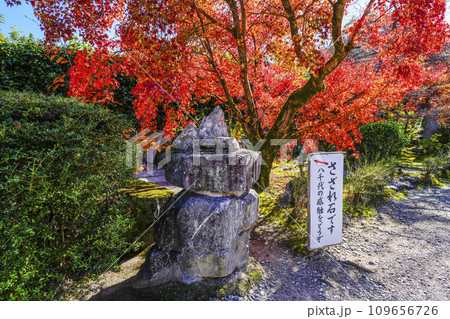 京都市山科　勧修寺（かじゅうじ）さざれ石 109656726