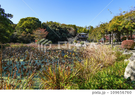 京都市山科　勧修寺（かじゅうじ） 109656760