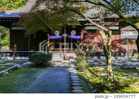 京都市山科 勧修寺(かじゅうじ)本堂 京都市山科 勧修寺(かじゅうじ)本堂 109656777