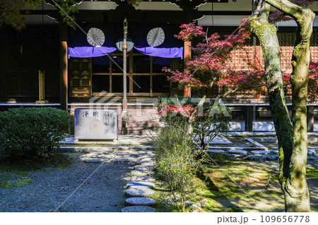 京都市山科　勧修寺（かじゅうじ）本堂 109656778