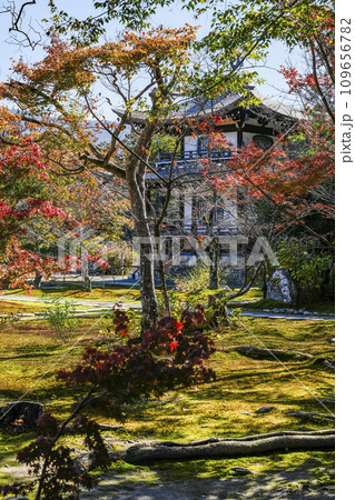 京都市山科　勧修寺（かじゅうじ）境内の紅葉 109656782