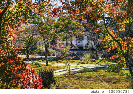京都市山科　勧修寺（かじゅうじ）境内の紅葉 109656783