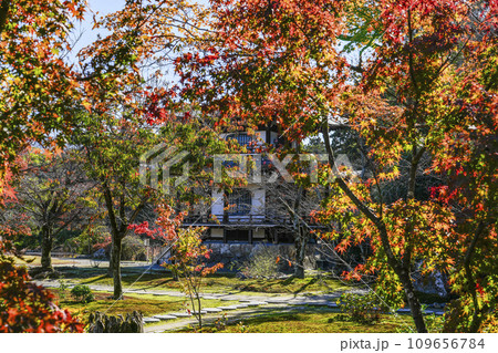 京都市山科 勧修寺(かじゅうじ)境内の紅葉 京都市山科 勧修寺(かじゅうじ)境内の紅葉 109656784