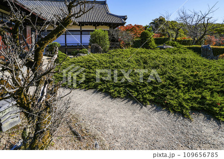 京都市山科 勧修寺(かじゅうじ)境内 京都市山科 勧修寺(かじゅうじ)境内 109656785