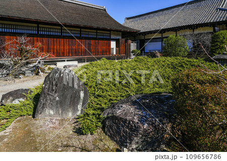 京都市山科 勧修寺(かじゅうじ)境内 京都市山科 勧修寺(かじゅうじ)境内 109656786