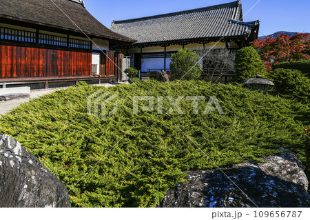 京都市山科 勧修寺(かじゅうじ)境内 京都市山科 勧修寺(かじゅうじ)境内 109656787