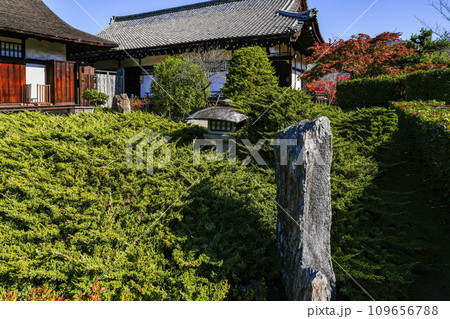 京都市山科 勧修寺(かじゅうじ)境内 京都市山科 勧修寺(かじゅうじ)境内 109656788