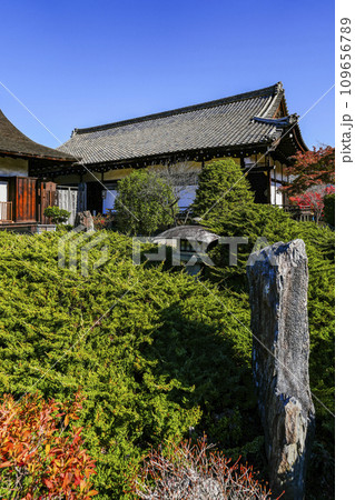 京都市山科 勧修寺(かじゅうじ)境内 京都市山科 勧修寺(かじゅうじ)境内 109656789