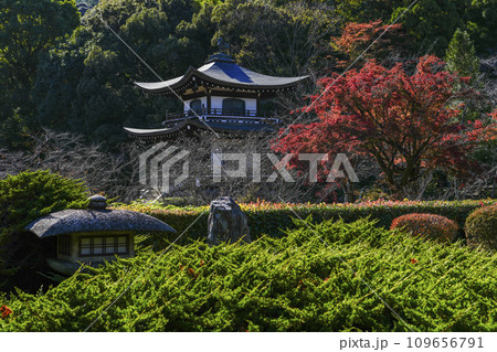 京都市山科 勧修寺(かじゅうじ)境内 京都市山科 勧修寺(かじゅうじ)境内 109656791