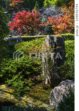 京都市山科 勧修寺(かじゅうじ)境内 京都市山科 勧修寺(かじゅうじ)境内 109656794