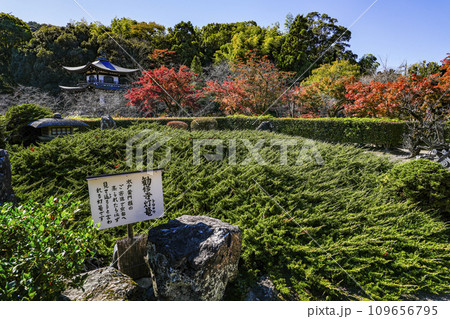 京都市山科 勧修寺(かじゅうじ)境内 京都市山科 勧修寺(かじゅうじ)境内 109656795