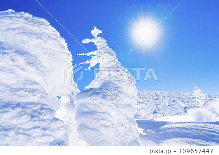 青空と山形蔵王の樹氷　スノーモンスター　山形県山形市 109657447