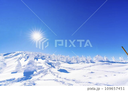青空と山形蔵王の樹氷　スノーモンスター　山形県山形市 109657451