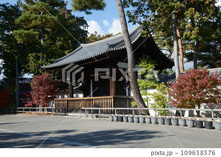 秋の相国寺　勅使門　京都市上京区 109658576