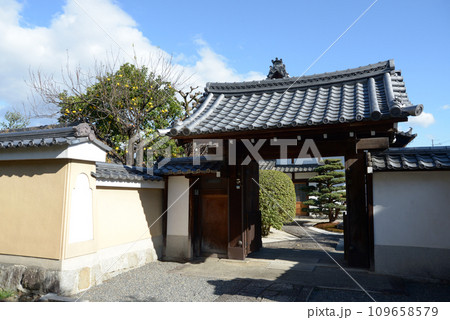 秋の相国寺　玉龍院山門　京都市上京区 109658579