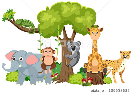 Harmonious Coexistence of Wild Animals in Isolated Forest Harmonious Coexistence of Wild Animals in Isolated Forest 109658682