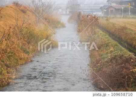 朝霧と湧水川【安曇野】 朝霧と湧水川【安曇野】 109658710