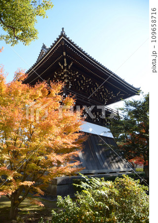 秋の相国寺　洪音楼と紅葉　京都市上京区 109658716