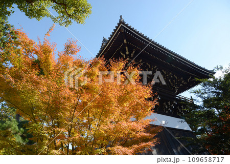 秋の相国寺 洪音楼と紅葉 京都市上京区 秋の相国寺 洪音楼と紅葉 京都市上京区 109658717