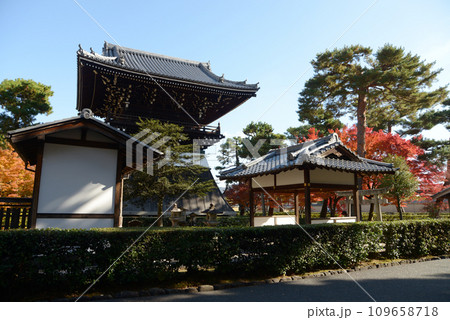 秋の相国寺　洪音楼と紅葉　京都市上京区 109658718
