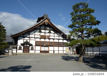 秋の相国寺　庫裏　京都市上京区 109658804
