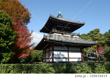秋の相国寺 経蔵 京都市上京区 秋の相国寺 経蔵 京都市上京区 109658814