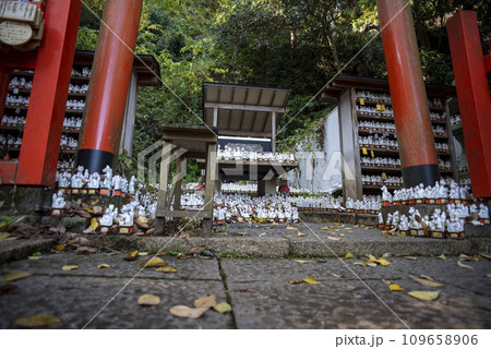 鎌倉11月 佐助稲荷神社5 鎌倉11月 佐助稲荷神社5 109658906