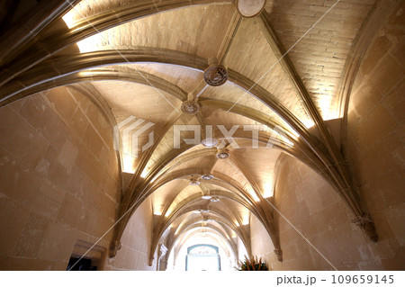 Chateau de Chenonceau, Vallee de la Loire, France 109659145