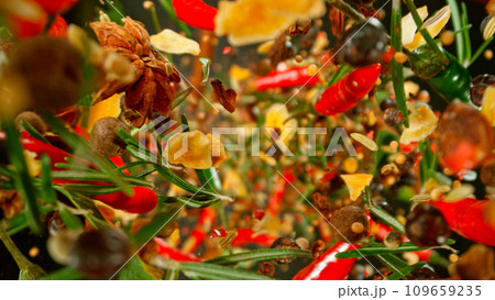 Freeze Motion Shot of Flying Various Spices, Macro 109659235