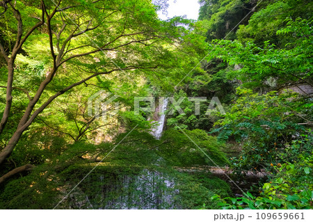 兵庫県神戸市 布引の滝 雌滝 兵庫県神戸市 布引の滝 雌滝 109659661