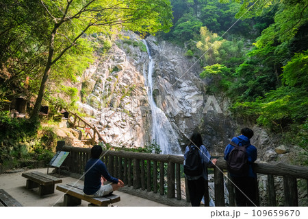 兵庫県神戸市 布引の滝 兵庫県神戸市 布引の滝 109659670