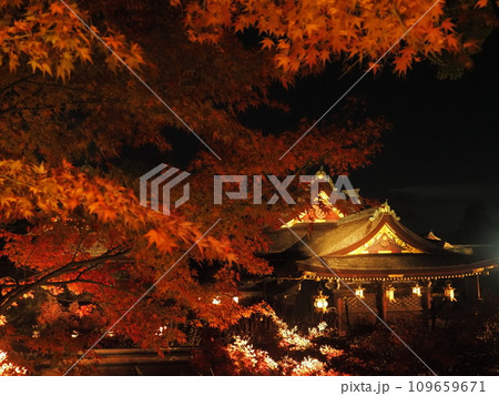 北野天満宮もみじ苑のライトアップ 109659671