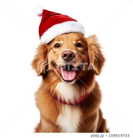 Portrait of a happy dog in a Santa hat on a transparent background. 109659783
