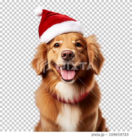 Portrait of a happy dog in a Santa hat on a transparent background. 109659783