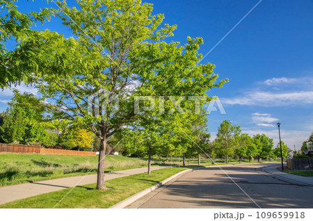 新緑が美しい住宅地 109659918