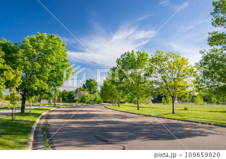 新緑が美しい住宅地 新緑が美しい住宅地 109659920