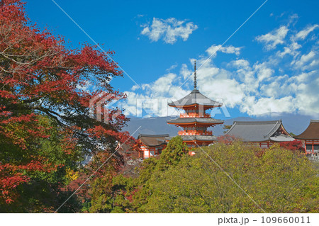 京都、清水寺 109660011