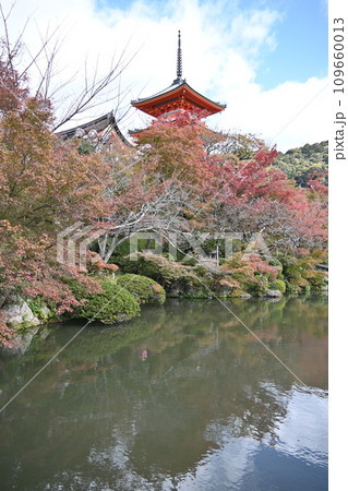 京都、清水寺 109660013