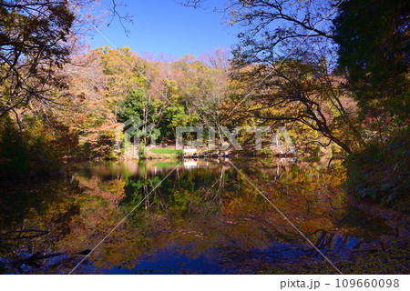 湖面に映る紅葉が美しい震生湖の秋 109660098