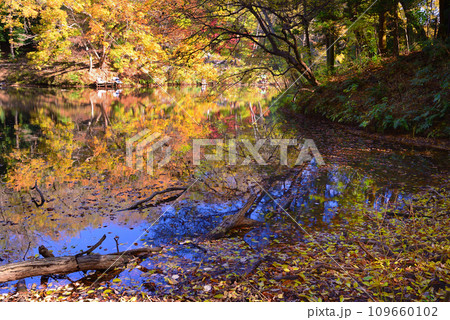 湖面に映る紅葉が美しい震生湖の秋 湖面に映る紅葉が美しい震生湖の秋 109660102