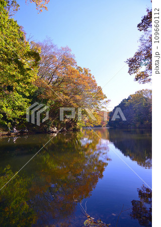 湖面に映る紅葉が美しい震生湖の秋 109660112