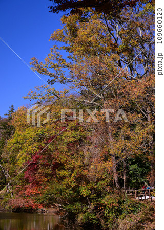 湖面に映る紅葉が美しい震生湖の秋 湖面に映る紅葉が美しい震生湖の秋 109660120