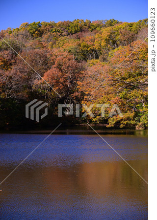湖面に映る紅葉が美しい震生湖の秋 湖面に映る紅葉が美しい震生湖の秋 109660123